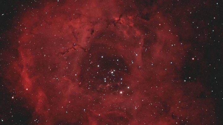 "Роскосмос" показал космические туманности, похожие на цветы